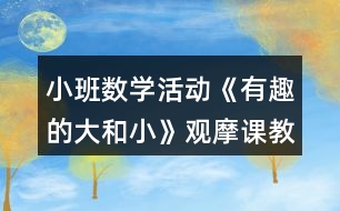 小班數(shù)學(xué)活動(dòng)《有趣的大和小》觀摩課教案與教學(xué)反思