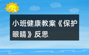 小班健康教案《保護眼睛》反思