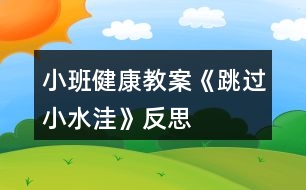 小班健康教案《跳過(guò)小水洼》反思