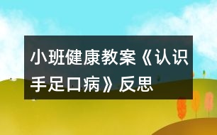 小班健康教案《認(rèn)識手足口病》反思