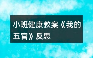 小班健康教案《我的五官》反思