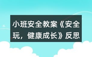 小班安全教案《安全玩，健康成長》反思