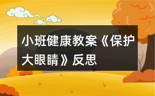 小班健康教案《保護(hù)大眼睛》反思