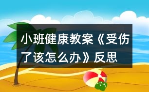 小班健康教案《受傷了該怎么辦》反思