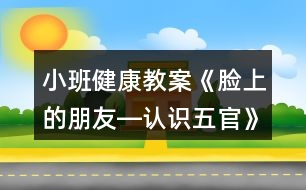 小班健康教案《臉上的朋友―認(rèn)識五官》反思