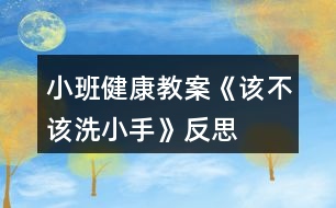 小班健康教案《該不該洗小手》反思