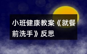 小班健康教案《就餐前洗手》反思