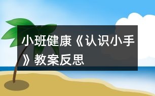 小班健康《認識小手》教案反思