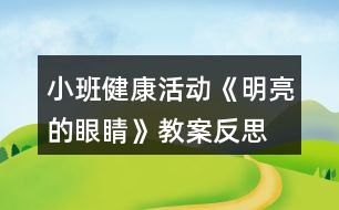 小班健康活動(dòng)《明亮的眼睛》教案反思