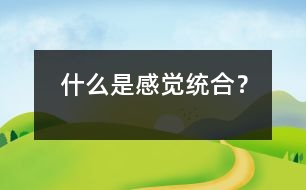 什么是感覺統(tǒng)合？