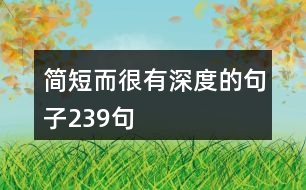 簡(jiǎn)短而很有深度的句子239句