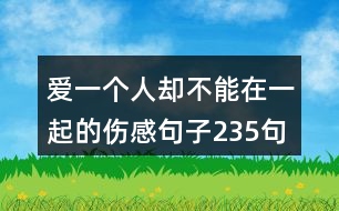 愛一個人卻不能在一起的傷感句子235句