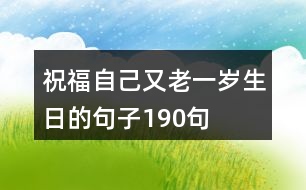 祝福自己又老一歲生日的句子190句