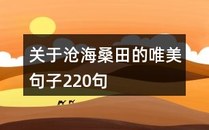 關(guān)于滄海桑田的唯美句子220句