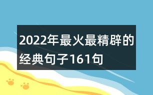 2022年最火最精辟的經(jīng)典句子161句