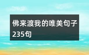 佛來渡我的唯美句子235句