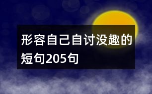 形容自己自討沒趣的短句205句