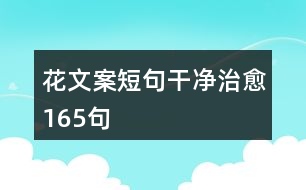 花文案短句干凈治愈165句