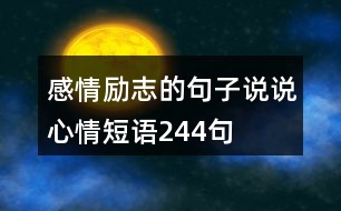 感情勵(lì)志的句子說說心情短語244句