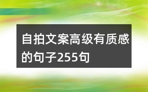 自拍文案高級有質感的句子255句