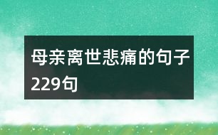 母親離世悲痛的句子229句