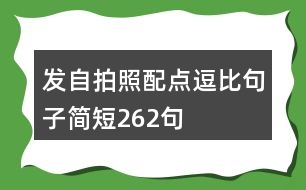 發(fā)自拍照配點(diǎn)逗比句子簡(jiǎn)短262句