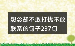 想念卻不敢打擾,不敢聯(lián)系的句子237句