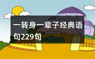 一轉身一輩子經(jīng)典語句229句