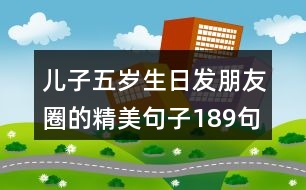 兒子五歲生日發(fā)朋友圈的精美句子189句