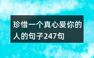 珍惜一個(gè)真心愛你的人的句子247句