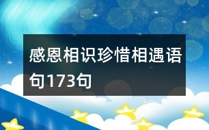 感恩相識(shí)珍惜相遇語(yǔ)句173句