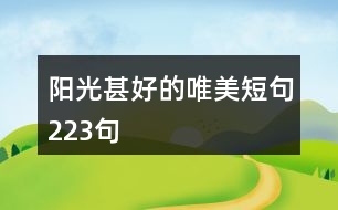 陽(yáng)光甚好的唯美短句223句