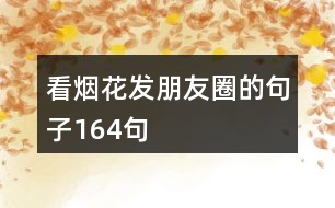 看煙花發(fā)朋友圈的句子164句