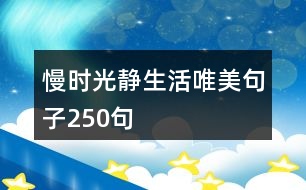 慢時(shí)光靜生活唯美句子250句