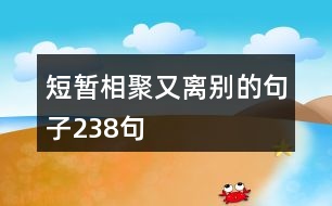 短暫相聚又離別的句子238句