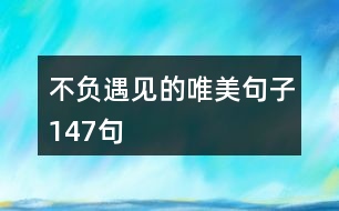 不負(fù)遇見的唯美句子147句