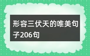 形容三伏天的唯美句子206句