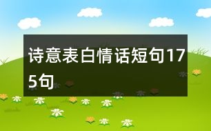 詩意表白情話短句175句