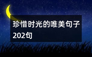 珍惜時(shí)光的唯美句子202句