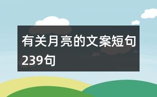 有關月亮的文案短句239句