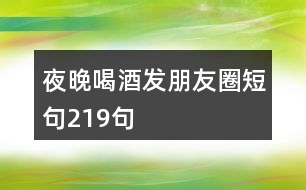 夜晚喝酒發(fā)朋友圈短句219句