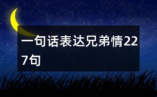 一句話表達兄弟情227句