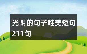 光陰的句子唯美短句211句