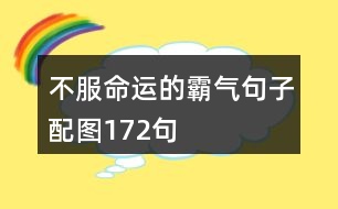 不服命運的霸氣句子配圖172句