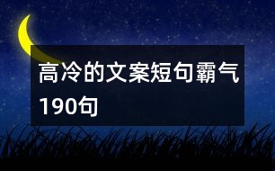 高冷的文案短句霸氣190句