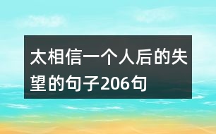 太相信一個(gè)人后的失望的句子206句