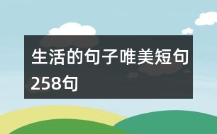 生活的句子唯美短句258句