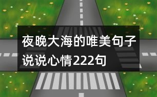 夜晚大海的唯美句子說(shuō)說(shuō)心情222句