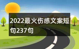 2022最火傷感文案短句237句