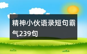 精神小伙語(yǔ)錄短句霸氣239句